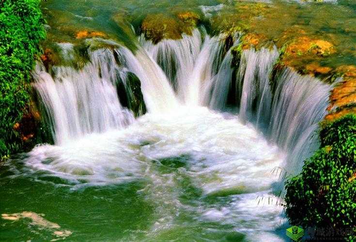 水帘白瀑如饥似渴一丛金黄:自然之美如画