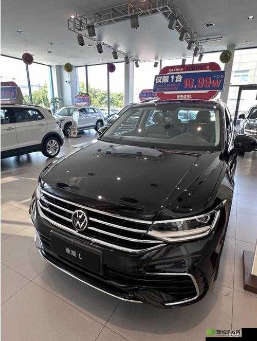 欧洲版国产SUV:畅享卓越驾乘体验