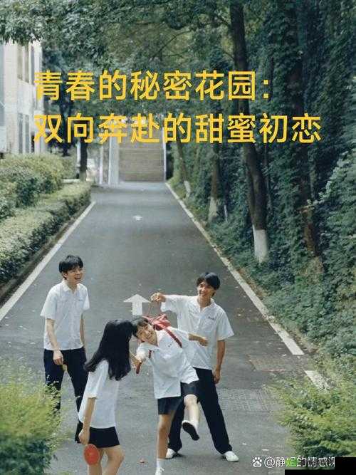 男生女生在一起:探寻青春的秘密