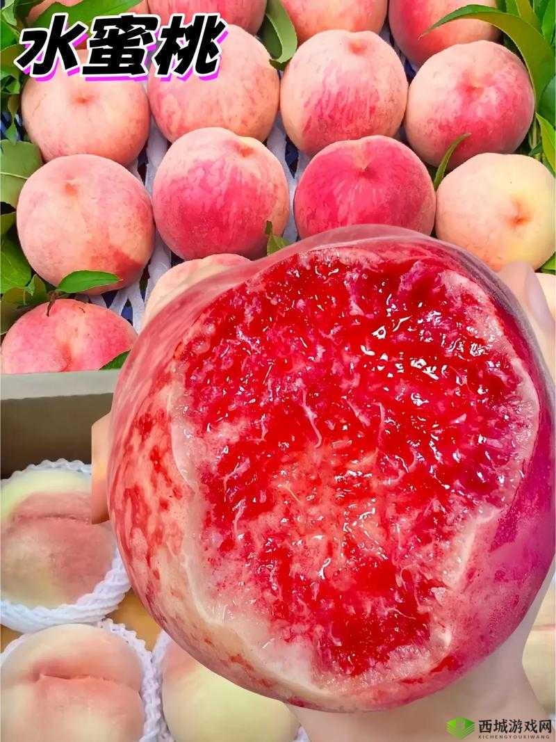 欧产日产国产水蜜桃：口感与特色对比