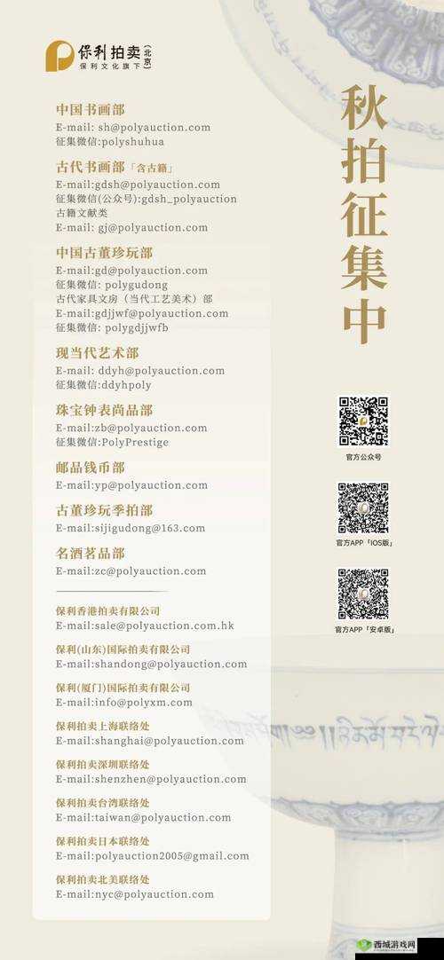 国外 B 站:探索精彩视频世界