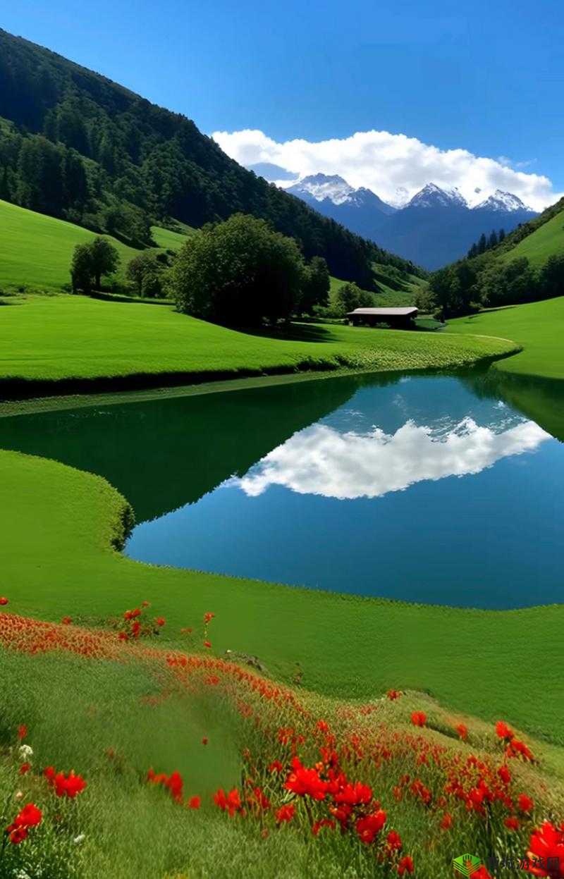 中国 Windows 野外：探索自然之美