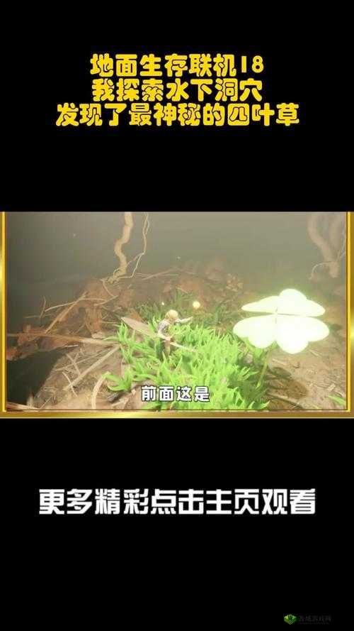 探索神秘死亡街区联机的惊险刺激之旅