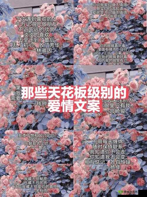 可不可以干湿你:一句引发热议的网络金句