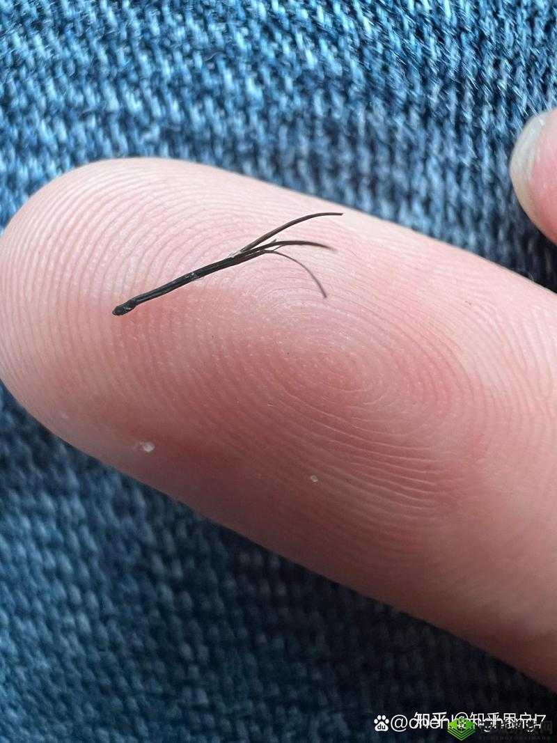 一根又黑又硬蘑菇头引发的奇妙故事