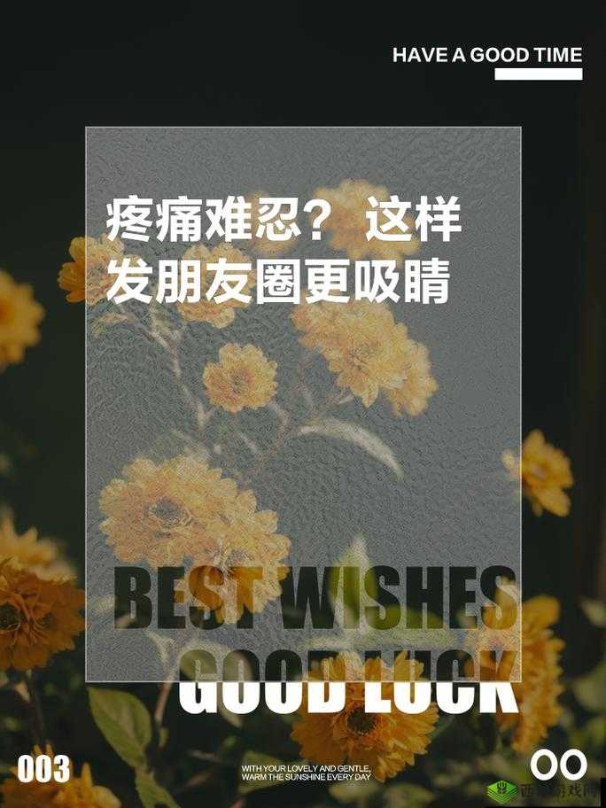 阿痛痛疼疼疼疼：难以忍受的痛楚