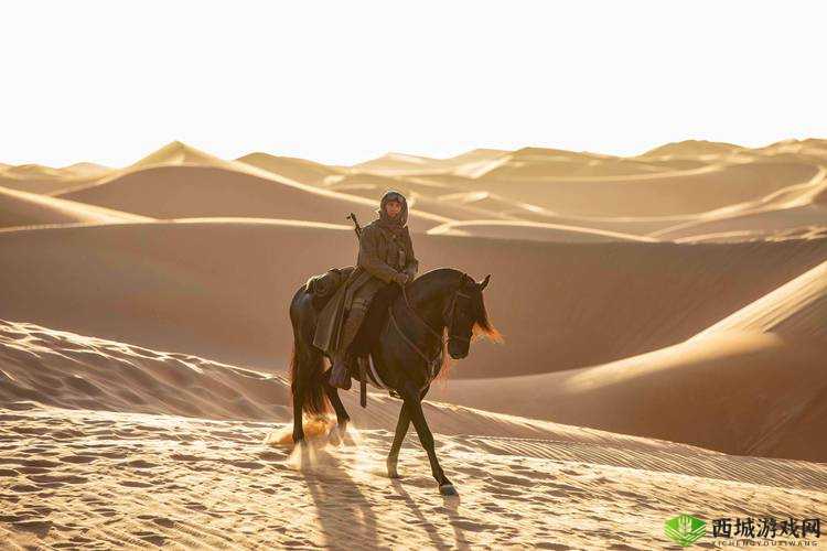 爆插美穴:极致刺激的体验