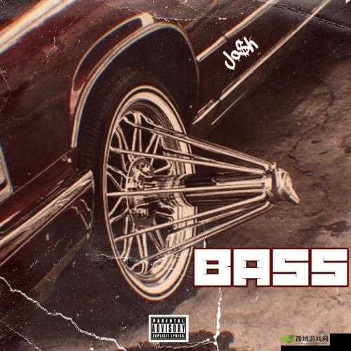 BBOX 糟蹋 BASS:音乐世界的奇特现象