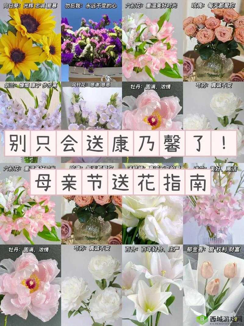 关于母亲节:花语解读与送花选择的巧妙搭配