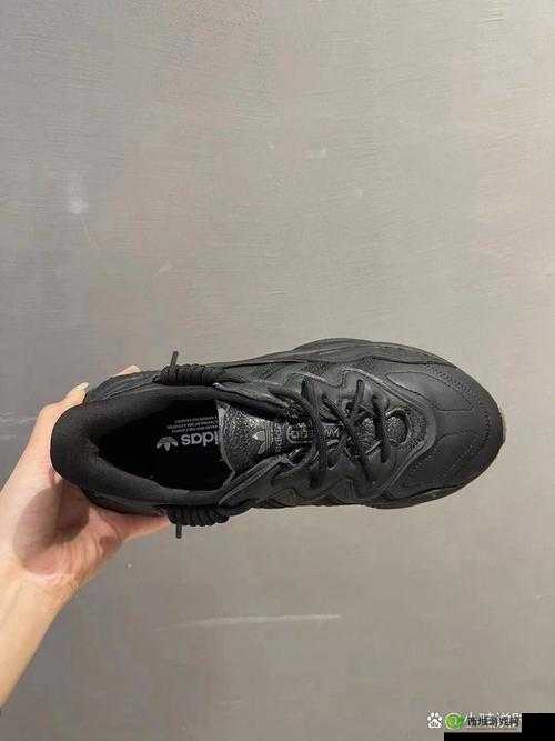 三叶草 GW6797 性能及特点解析