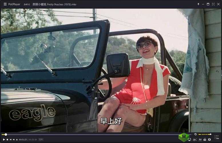 小蜜桃电影:经典之作不容错过