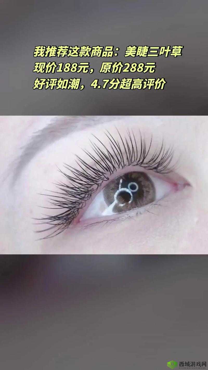 三叶草GW9355为何迟不上榜一：深度探究背后原因