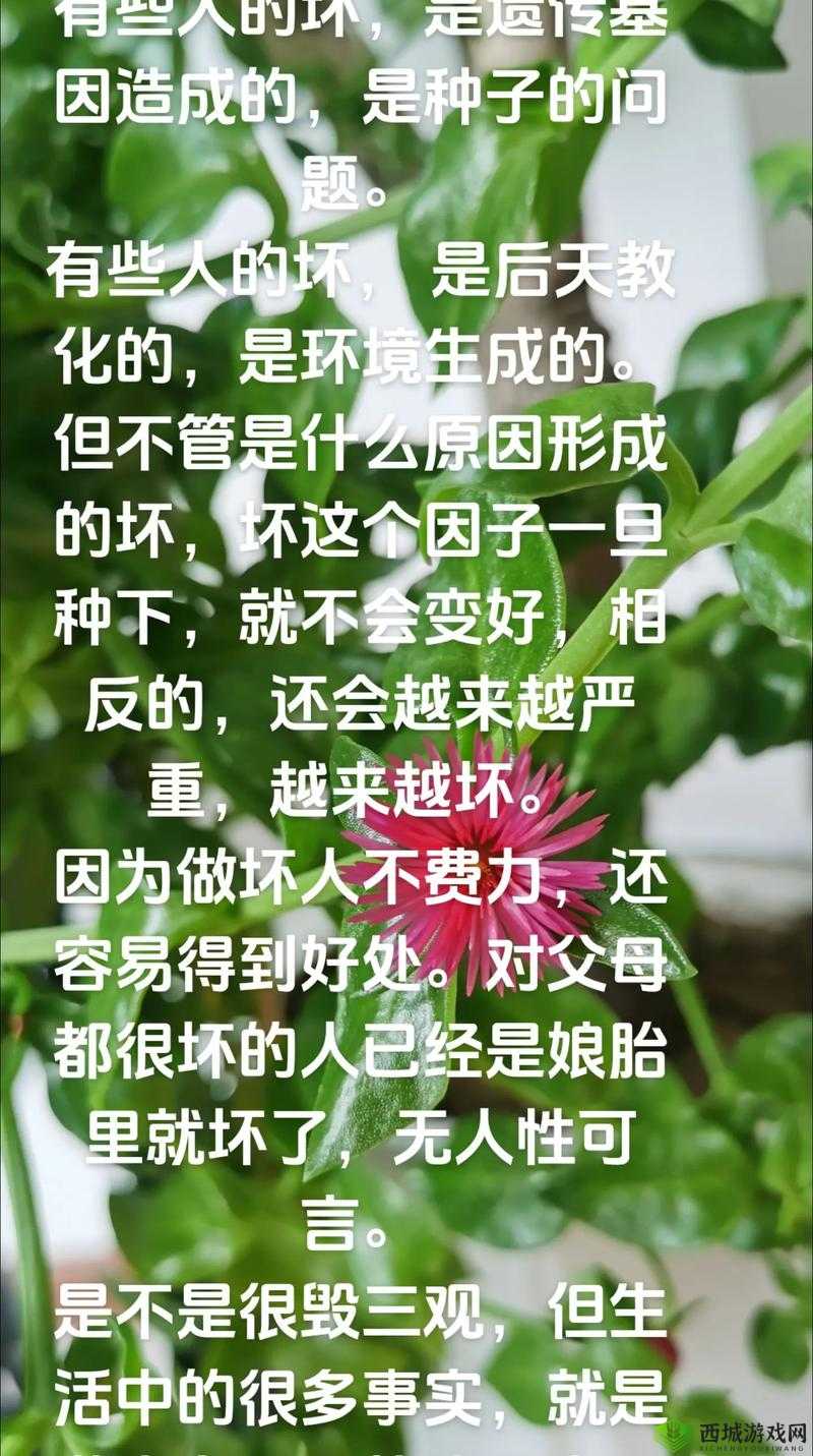 二弟太小的原因：生理遗传与后天环境影响