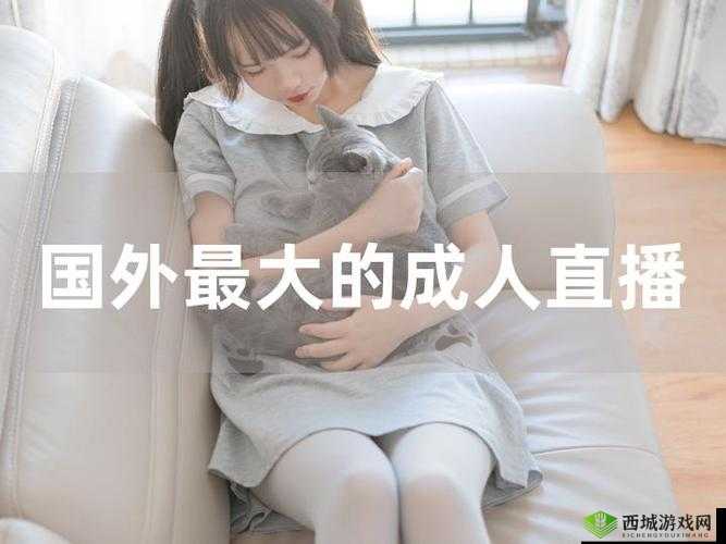 国外无限制直播：探秘其背后的真相