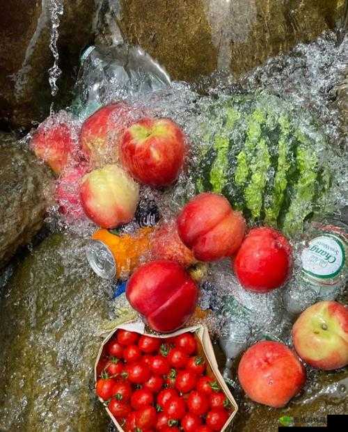 这个夏天:不可错过的水果盛宴