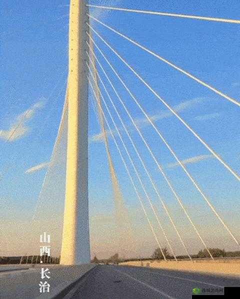 暴躁大妈荒野大镖客 K9 新动态：相关消息一览