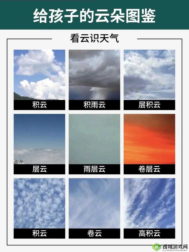 第一圣殿骑士新手攻略第十七章:探索失落的秘密