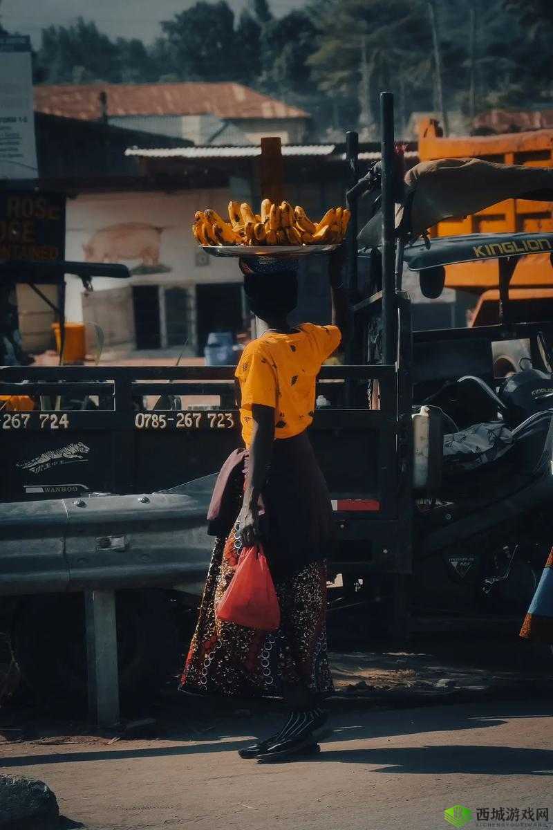 混沌小镇公交车的奇幻之旅