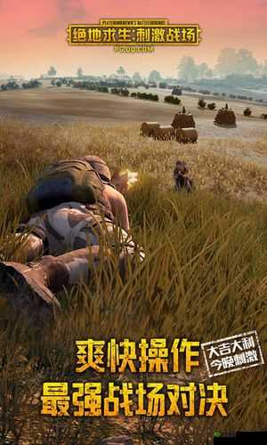 绝地求生刺激战场安装疑难解析:解决安装失败的有效方法汇总