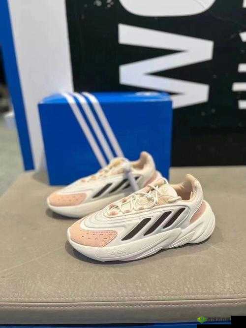 三叶草 gy6983 的独特魅力