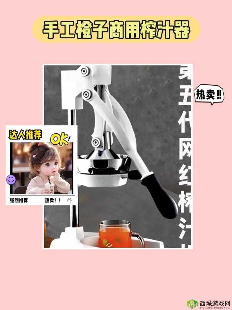 c93t 榨汁机:你的健康饮品好帮手