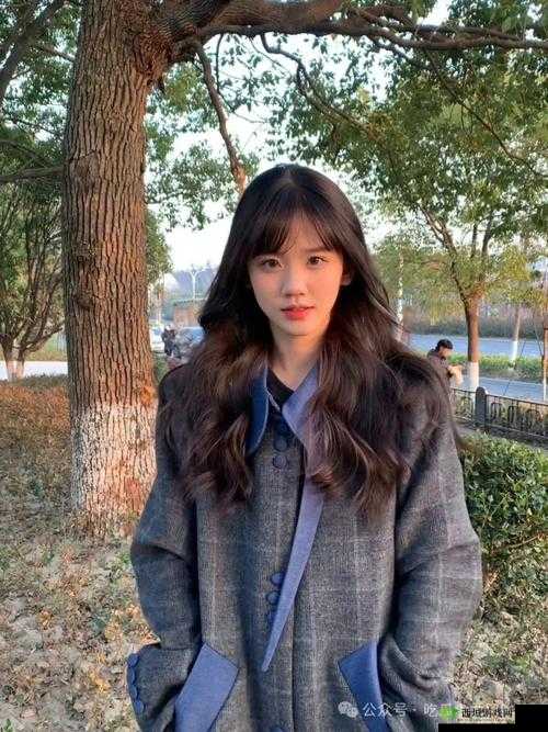 恋与制作人网红整容事件深度揭秘：事件选择攻略与新闻调查暗访全解析