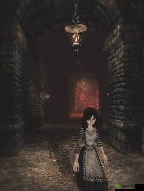 爱丽丝:疯狂回归低配置优化的关键技巧与方法