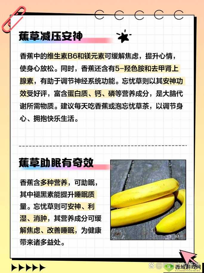 香蕉忘忧草对焦虑的影响:作用机制与效果研究