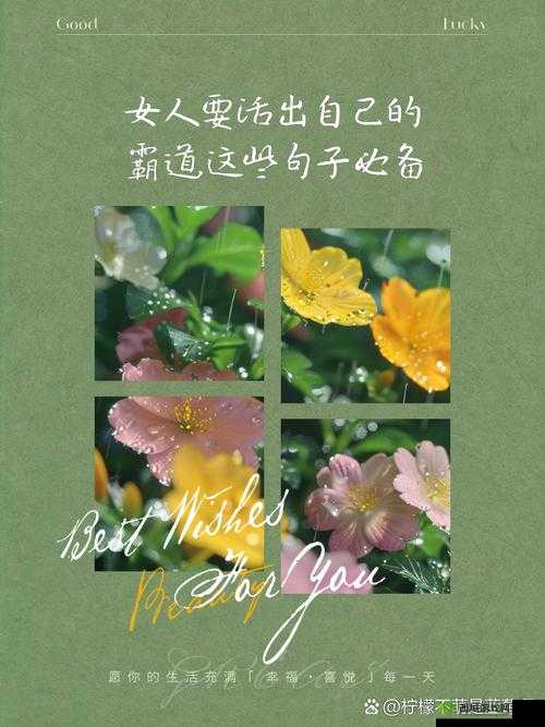 日本人 XXX :独特的人生之旅