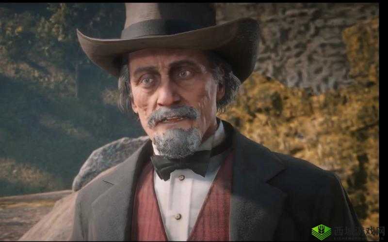 荒野大镖客老太太 500:西部传奇的见证者