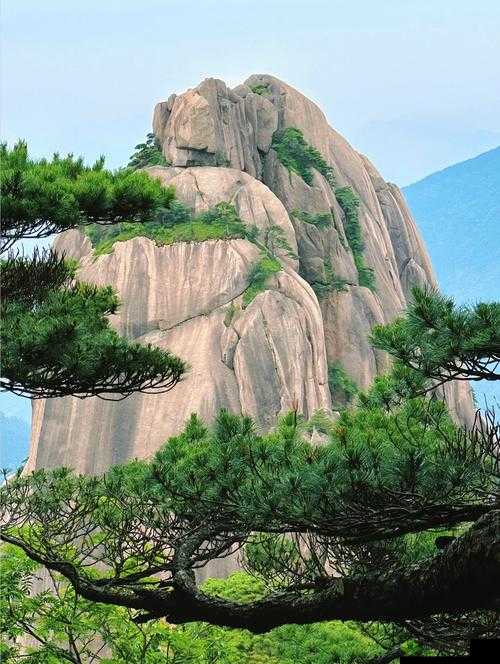 没带罩子让他吃了一天没事吧:他的身体能承受吗?