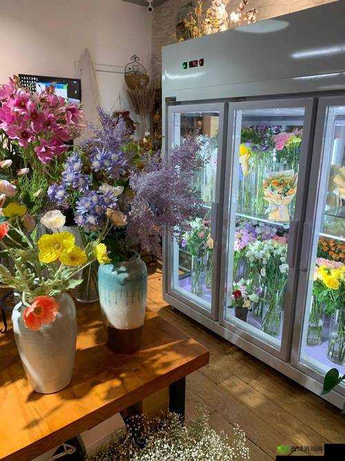 探索 4399 匿踪雏菊图文攻略秘籍:全方位通关技巧详解