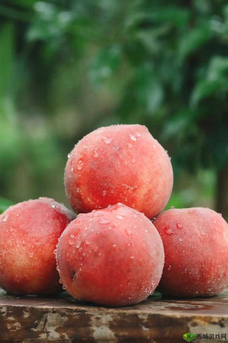 水蜜桃编码 1038:甜蜜的诱惑