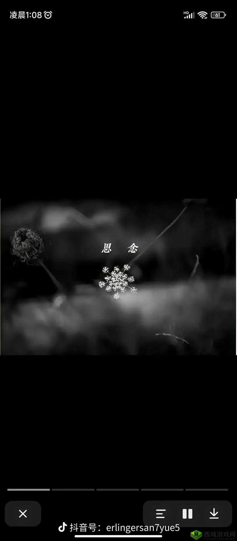 看不见的真相：玫瑰花忌日，揭开隐藏的真相