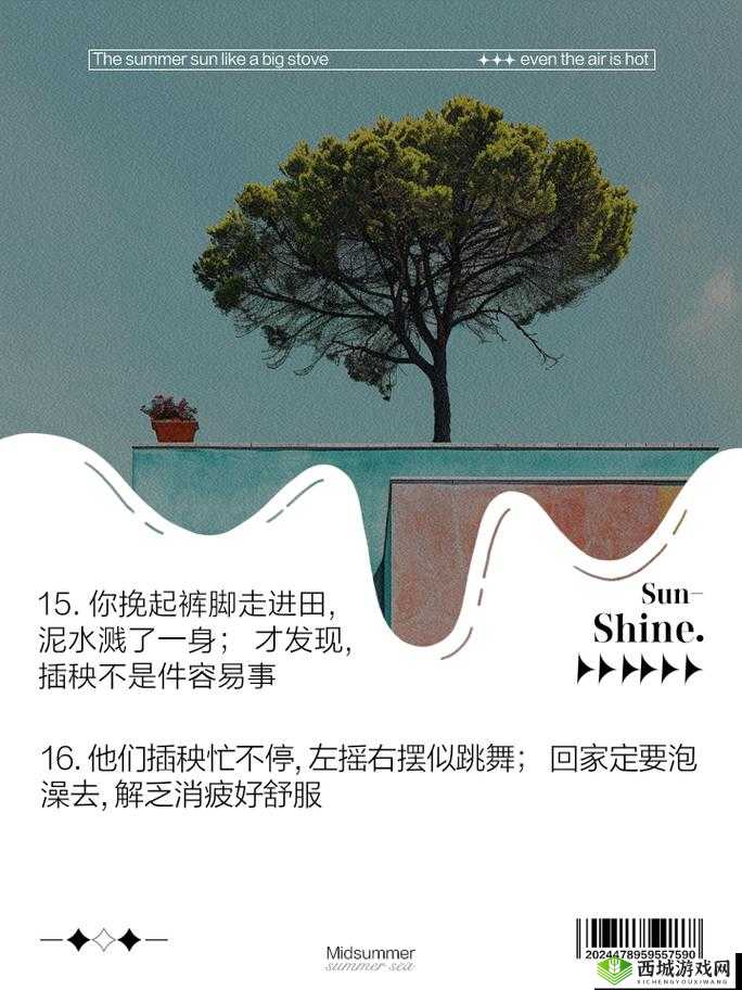 男友说想插秧了:是暗示还是玩笑?