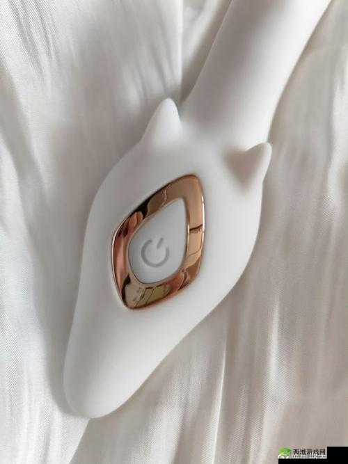 穿着玩具出门测评:新奇体验与实用分享