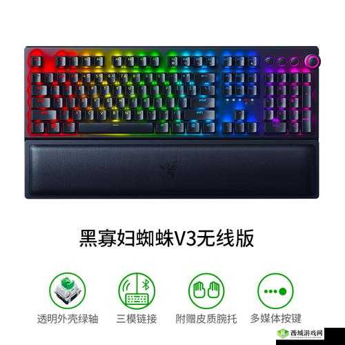 黑寡妇 v3 无线:多少入手合适?