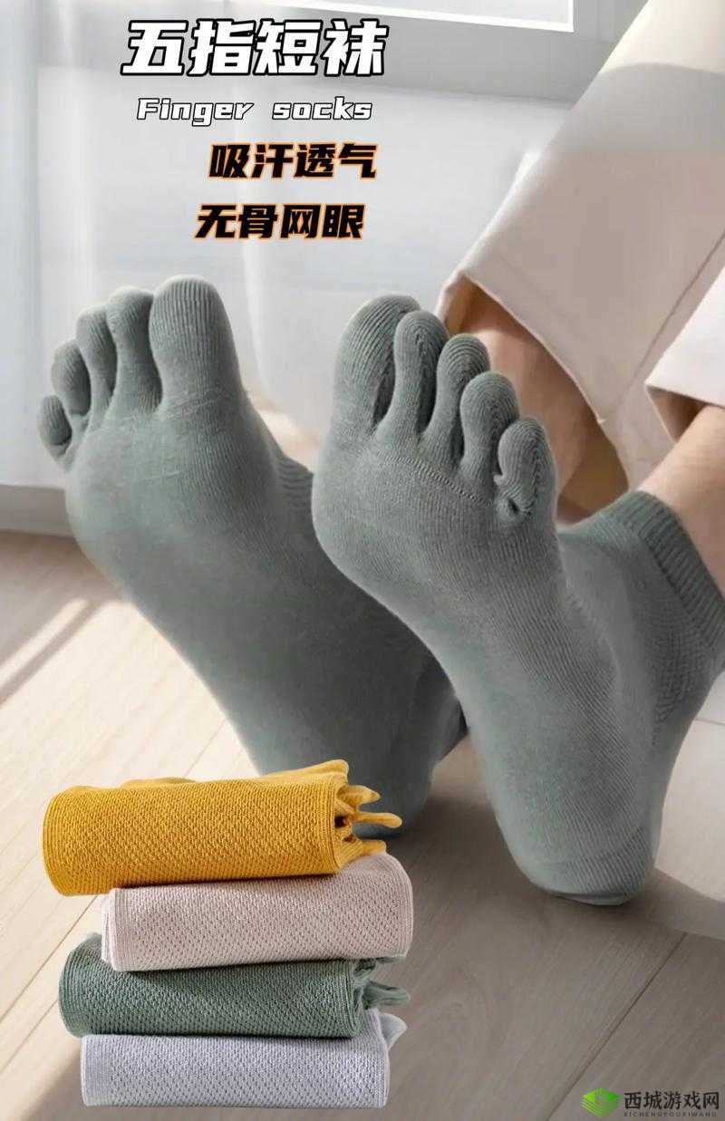 五指棉袜价格:你需要知道的事