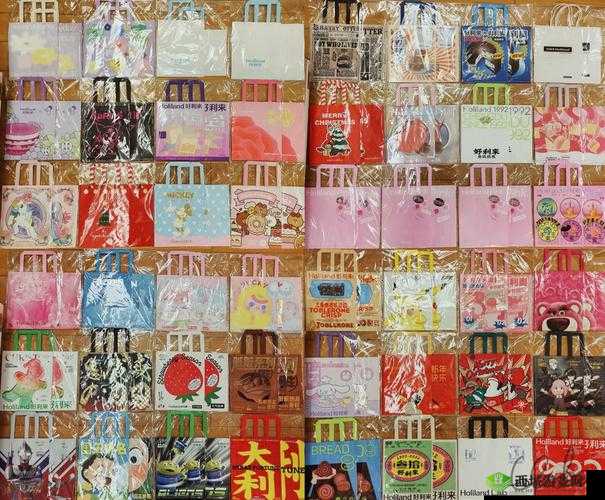 收纳达人挑战:纸袋收藏家终极通关指南