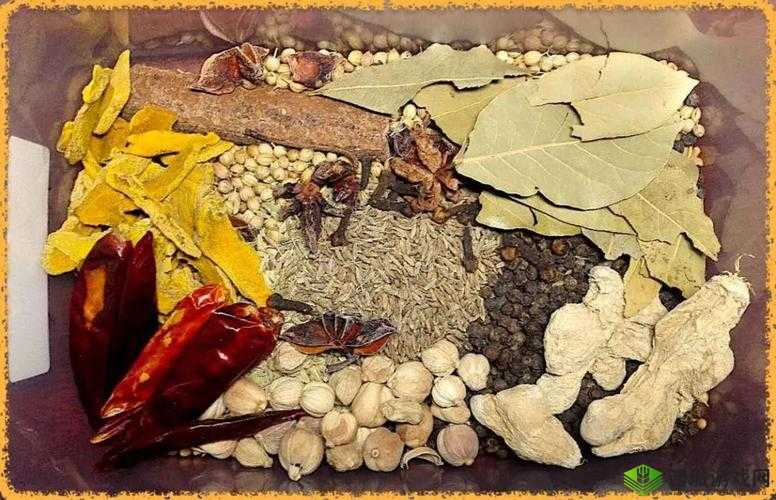 梦回大航海:香料传奇的兴起之路或者更精炼点:梦回大航海之旅——香料之魅带动流行浪潮