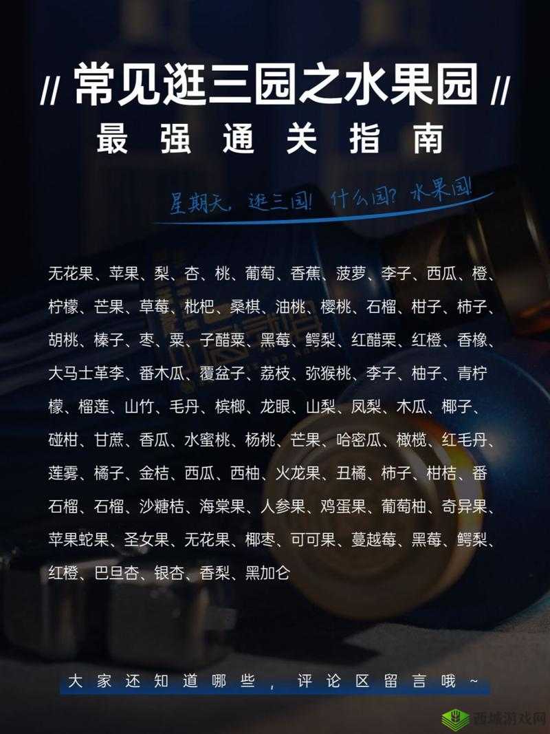 逃脱者困境突围:响尾蛇之泉全面攻略与通关指南