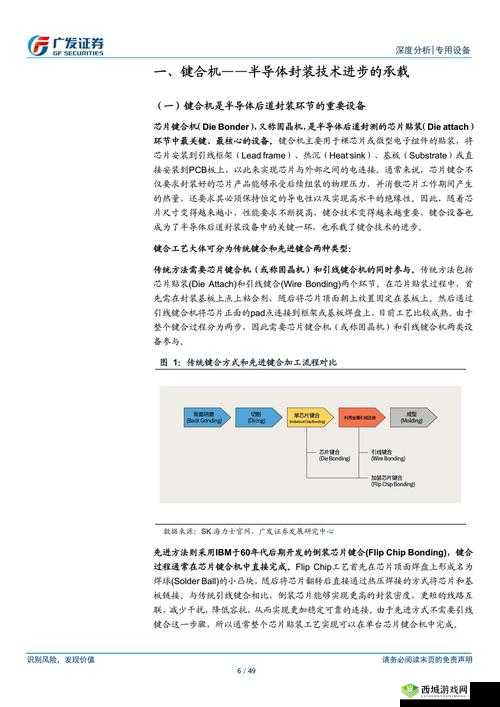 丰年经继拇 6 的机能量发展:推动进步的关键力量