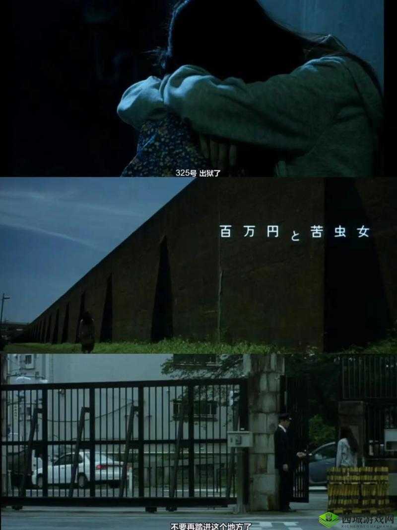 神秘电影 5 条免费路径:探索观影新渠道