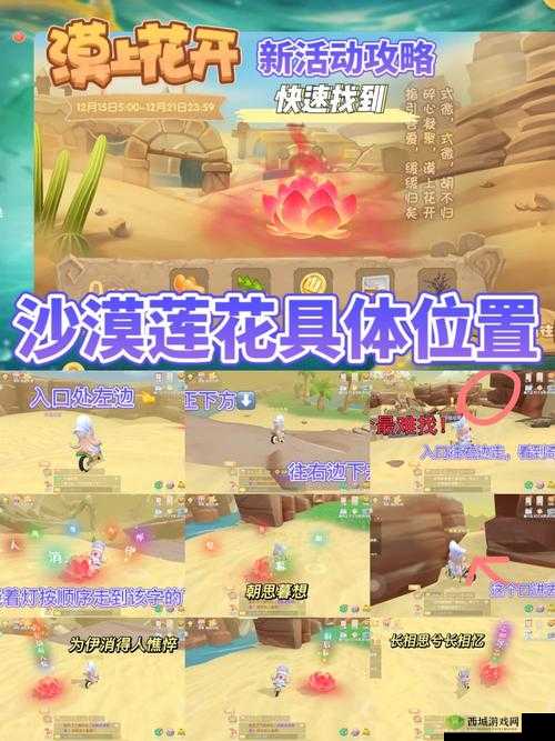 摩尔庄园手游:城堡探险之不穿衣物安全攻略揭秘——避免被抓的小技巧大解析