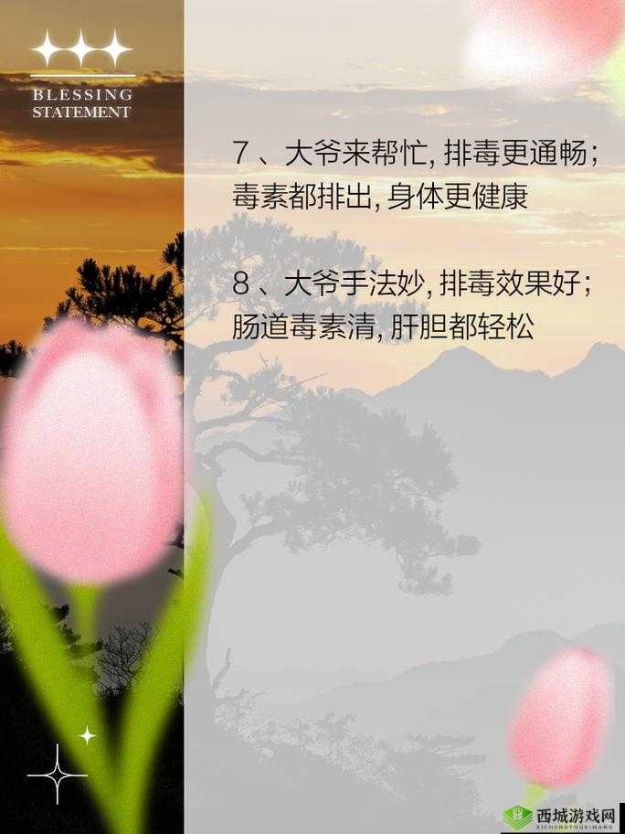 让大爷再帮你排排毒:体内毒素多?让大爷再帮你排排毒