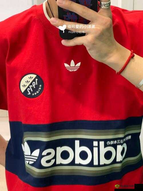 三叶草 gy6983:神秘的魅力所在