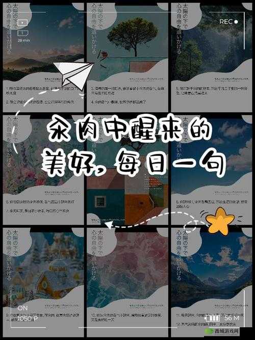 每天都在汆肉中醒来江山:汆肉人生