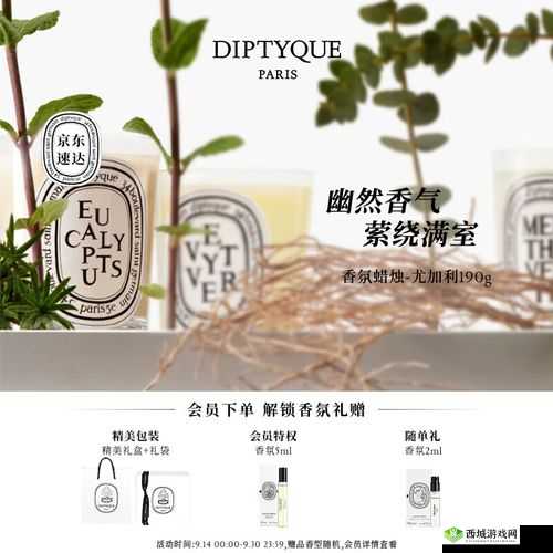 探秘 Diptyque 含羞草香薰:独特魅力何在