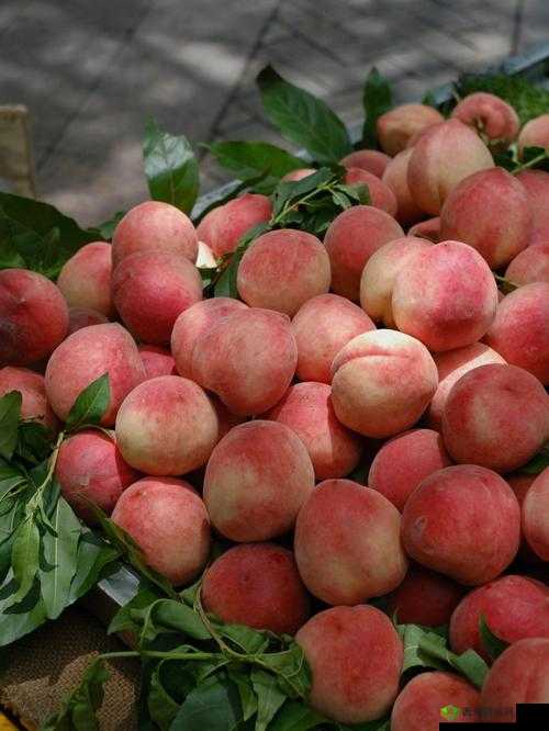 水蜜桃与水蜜桃 V2 重磅登场:开启甜蜜之旅