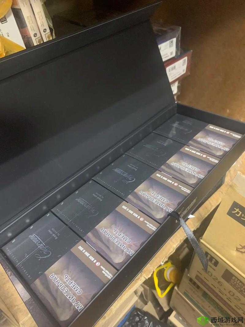 俄罗斯 PononDLX:一款独特的产品